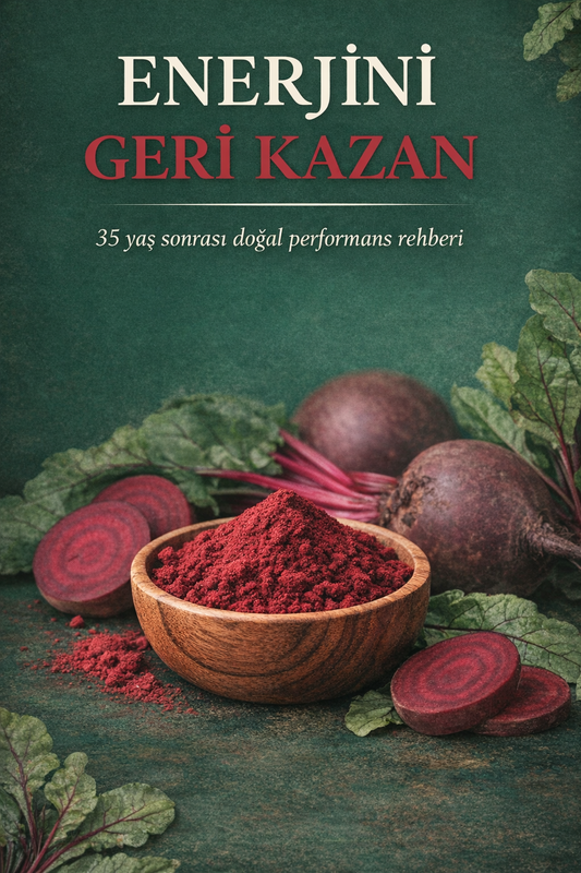 Enerjini Geri Kazan  - E-Kitap